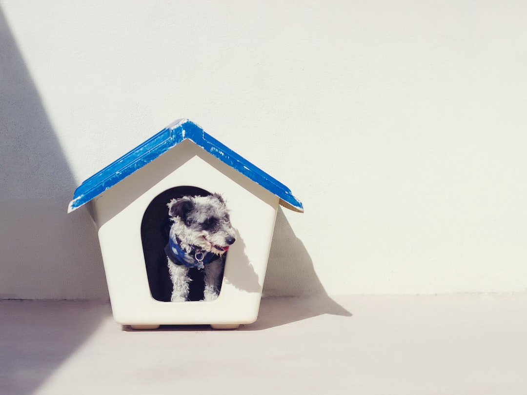 5 Great Tips On Building A Dog House